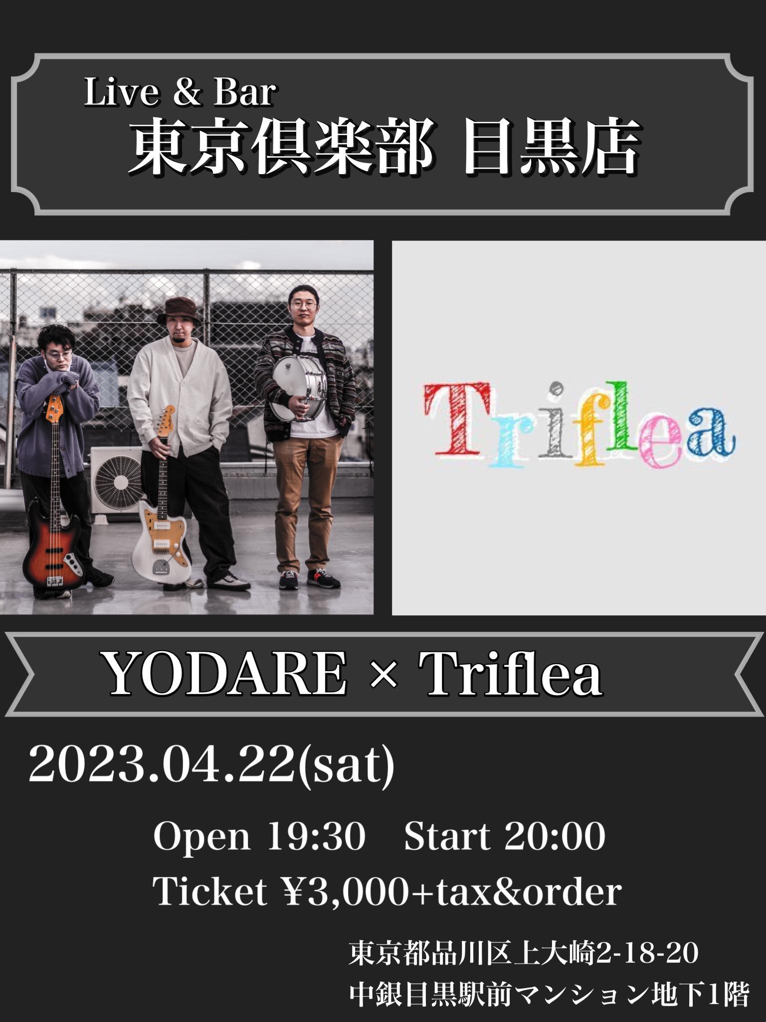 Triflea × YODARE