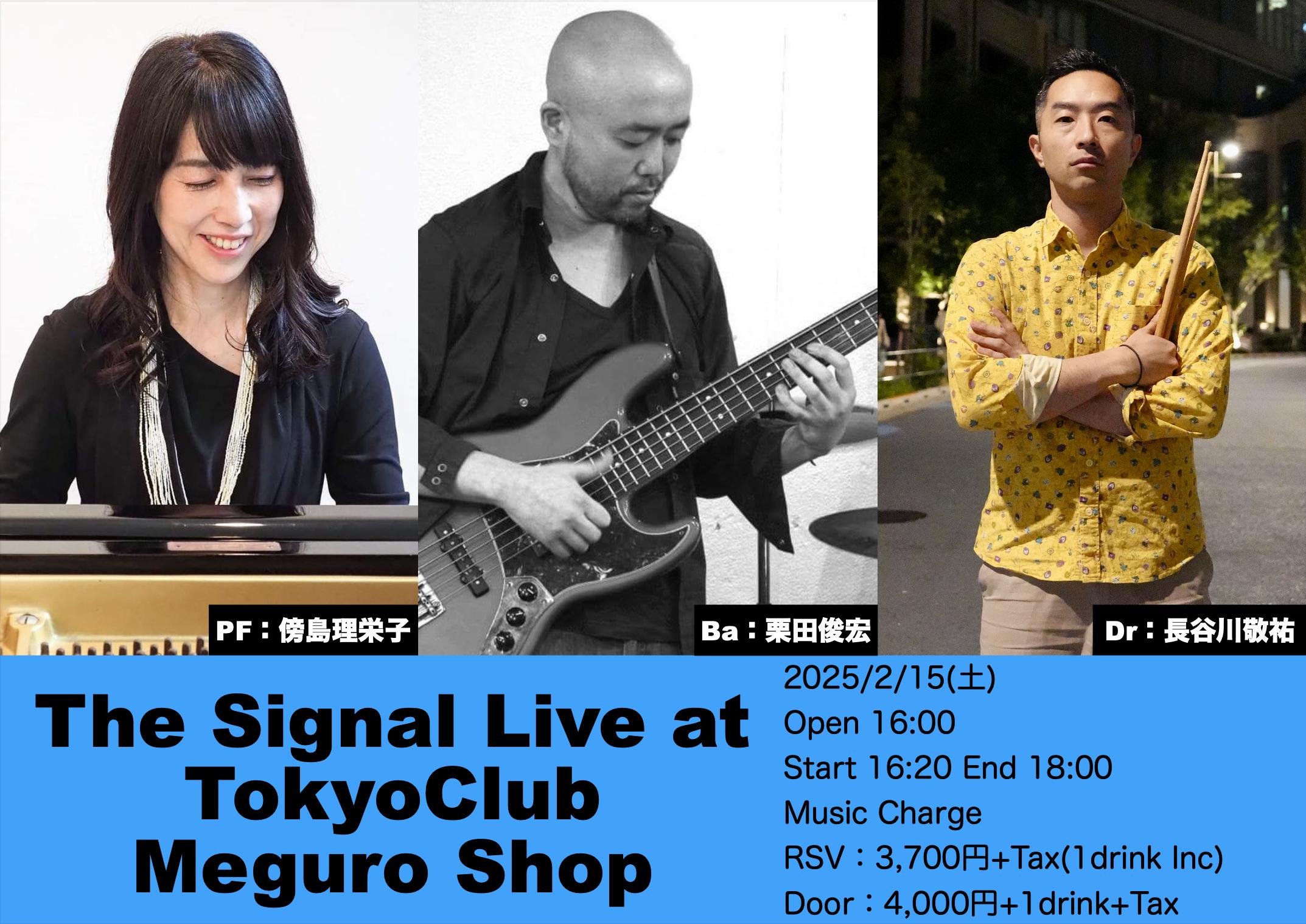 The Signal Live